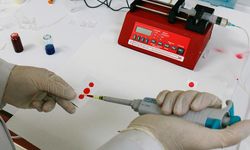 Fas, DSÖ tarafından Hepatit B’yi kontrol altına alan ülke ilan edildi