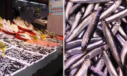 Avlanan hamsi azaldı! Trabzon'da hamsinin kilogramı 100 liraya yükseldi