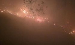 Hatay'da ormanlık alanda yangın çıktı