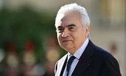 Enerji güvenliğinde  “En büyük risk  kritik minerallerde”