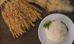 "İpsala pirinci, dünyada bir inci"! İpsala pirincinin güvenilirliği AB coğrafi işaret tesciliyle kanıtlandı