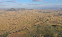 Kars Ovası’nda hasat bitti, tarlalar “halı desenini” andırdı