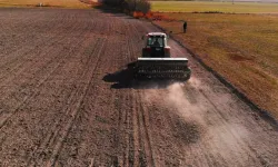 Konya Ovası'nda kuraklık alarmı: Çiftçi gözünü kar yağışına dikti!
