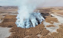 Gökgöl sazlıkları 2 gündür yanıyor