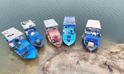 Malatya'dan Ortadoğu'ya ihracat: Karakaya Barajı'ndan çıkan balık 80 TL'den satılıyor!