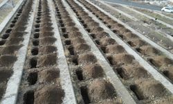 Erzurum'da dikkat çeken hazırlık! 500 mezar neden bir anda kazıldı?