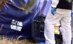 Trabzon'da acı olay! Kestiği ağaç üzerine devrilen kişi hayatını kaybetti