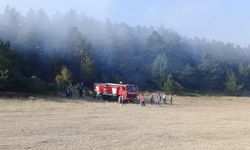Ordu'da çıkan örtü yangını kontrol altına alındı