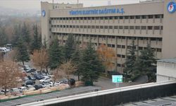 TEDAŞ'ın Canlı Hat Bakım Projesi için ihale süreci başladı