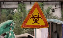 Araştırma: ABD'de binlerce 'tehlikeli madde tesisi' deniz seviyesinin yükselmesiyle sel riski altında