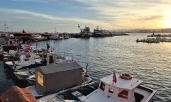 Tekirdağ'da yüzler güldü: Denize açılan balıkçılar 600 kasa istavritle döndü!