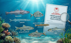 Tescil kararı Resmi Gazete’de duyuruldu: 7 yerli balık türüne onay çıktı!