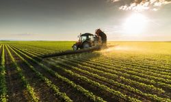 Tarım sebze ve meyve piyasasında çöküş tablosu açıklandı! Veriler gerçekleri ortaya çıkarttı