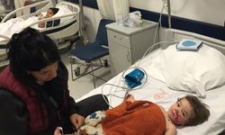 Pitbul'un sahibi tutuklandı ama ne çare! Keşke Efe bu hale gelmeden bir şeyler yapılsaydı! Köpeğini seven evinde beslesin