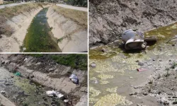 Sulama kanalı değil, utanç çöplüğü! DSİ’ye çağrı: "Bu işe el atılması lazım!"