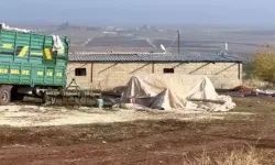 Ahır görünümde tesis kurup kaçak elektrikle kripto para imalatı yaptılar