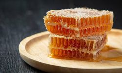 Doğu Karadeniz'in 11 aylık bal ihracatı 1,9 milyon doları aştı