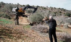 Öldürülen insanları görmediniz, bari ağaçlar için ses verin, doğa savunucuları, sözde çevreciler neredesiniz? Batı Şeria'da doğa katliamı