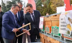 Bilecik arıcılıkta üs oluyor: Bin yeni kovan dağıtıldı, hedef 30 bin koloni!