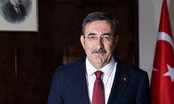 Cumhurbaşkanı Yardımcısı Yılmaz yarın Azerbaycan'a gidecek