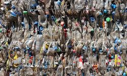 Çevreyi korumaya 2024'te 441 milyar lira harcandı