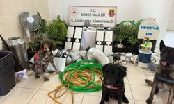 Düzce'de "gizli bölmeli" uy*ştur*cu serası! Çatı katından profesyonel sistem çıktı