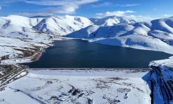 Karadeniz beyaza büründü! 4 ilde kar yağışı etkisini sürdürüyor