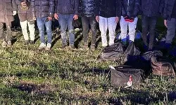 Yol geçen hanı gibiyiz! Edirne ve Kırklareli'nde 10 düzensiz göçmen yakalandı