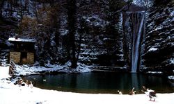 Erfelek Tatlıca Şelaleleri Tabiat Parkı, beyaz gelinliğini giydi!