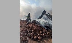 Erzurum'da ahır ve samanlık yangını! 21 büyükbaş hayvan telef oldu