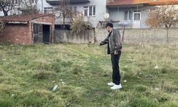 Eskişehir’de boş arazide 8 ölü kedi bulundu: Şiddet şüphesi üzerinde duruluyor