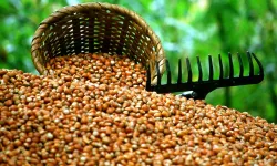 Kadın girişimcinin büyük başarısı!