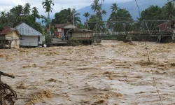 Güney Asya'da sel felaketi! Ölenlerin sayısı 1500'ü aştı