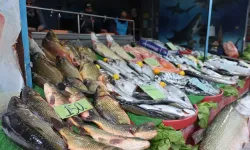 Gerçek gurmeler ona balıkların kralı diyor!