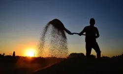 Hayvancı yemciden şikayetçi ama.. Yem sanayicileri: “Sektör kârlı bir yıl geçirmedi”