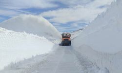 Kış yüzünü iyice gösterdi! Van, Hakkari ve Muş'ta karla mücadele sürüyor