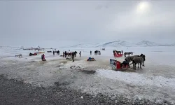 Doğu Anadolu beyaza büründü! Dondurucu soğuk hava etkisini sürdürüyor