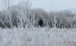 Kış yüzünü iyice gösterdi! Kars ile Ardahan'da soğuk hava yaşamı olumsuz etkiliyor