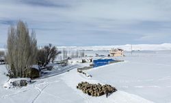 Kars'ta besicilerin zorlu kış mesaisi başladı