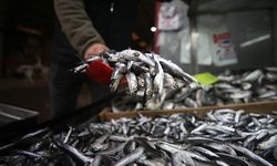 Kayseri'de hamsi bereketi: Tezgâhlar doldu taştı!