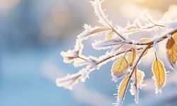 Kış sert yüzünü gösteriyor: 5 il için kar ve 'zirai don' alarmı!