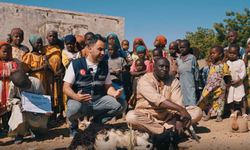 Yurt Dışı Kurban Bağışı Ne Kadar 2026? Güncel Bağış Fiyatları