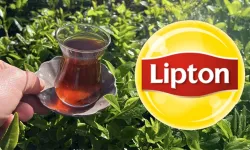 39 yıllık yolculuk bitti! Lipton Türkiye'deki üretimi bıraktı