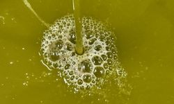 Devlet desteğiyle zeytinyağı üretim tesisi kurdu! Mahallelinin geçim kaynağı oldu