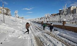 Muş'un Varto ilçesinde eğitime 1 gün ara verildi