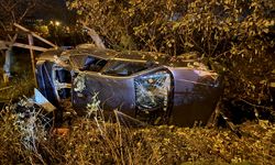 Sakarya'da feci kaza: Otomobil tarlaya devrildi, 4 kişi yaralandı!