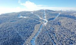 Sarıkamış’ta kartpostallık manzara: Sarıçamlar beyaza büründü