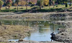 Örnek etkinlik! Adana'da çevre gönüllüleri Seyhan Nehri'nin çevresindeki atıkları topladı