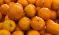 Şifa deposu mandalina böyle tüketildiğinde hasta ediyor