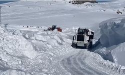 Kar yolları kapattı! Siirt, Elazığ ve Şırnak'ta 74 yerleşim yerinin yolu ulaşıma kapandı